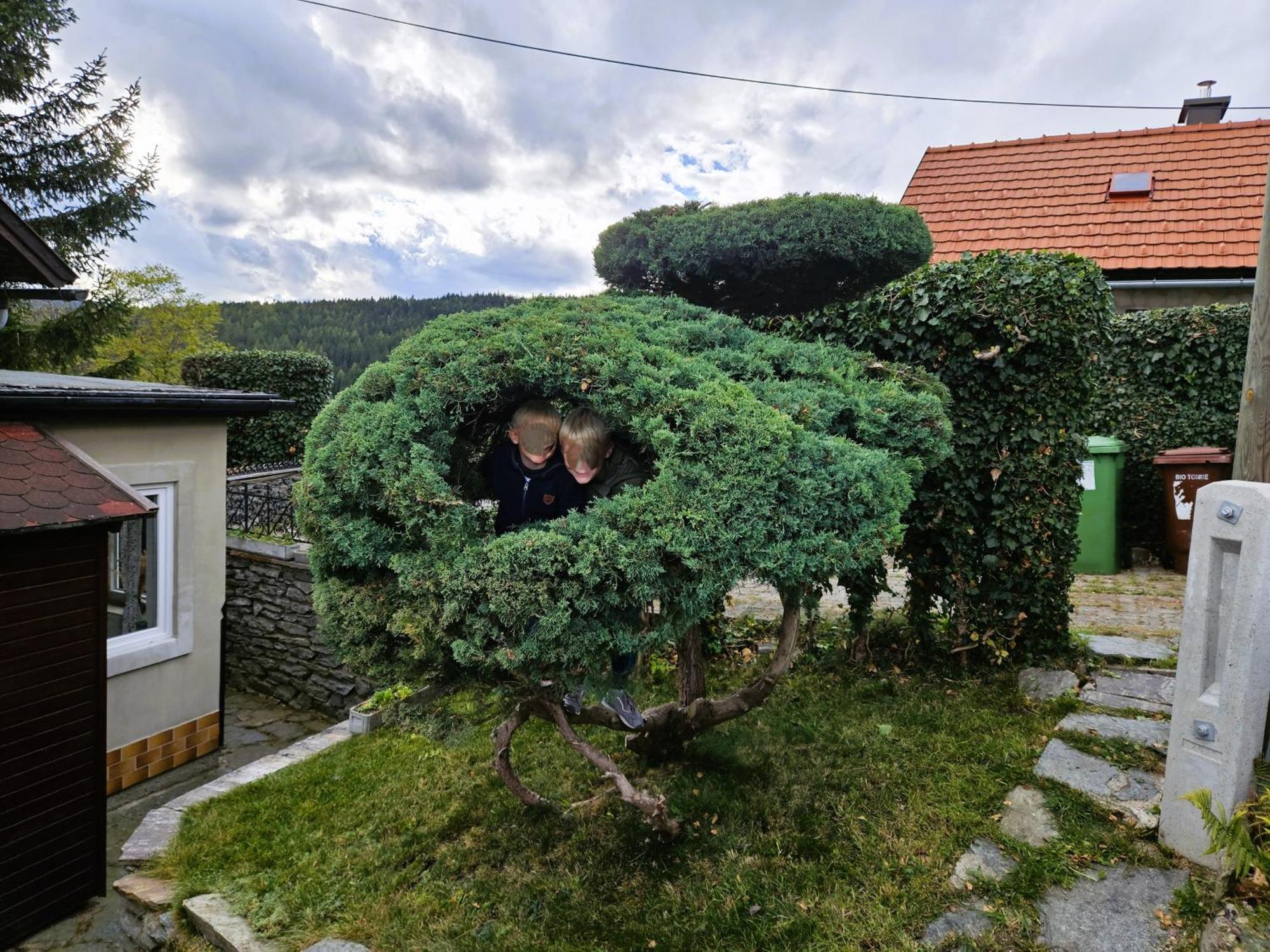 Huette Auf 1000M Hoehe In Moenichkirchen. Εξωτερικό φωτογραφία